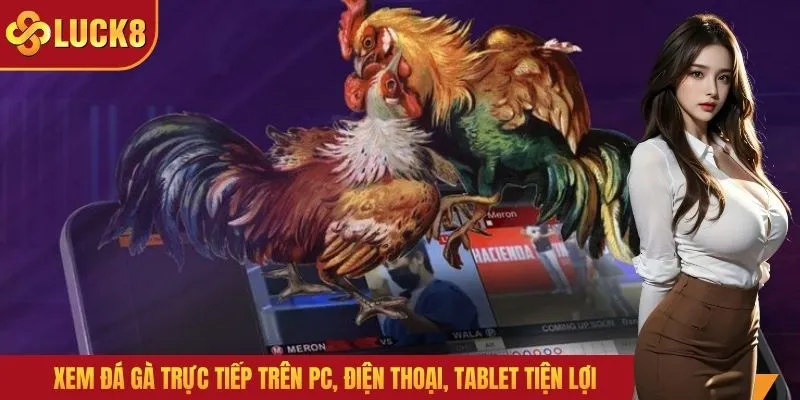 Xem đá gà trực tiếp trên PC, điện thoại, tablet tiện lợi